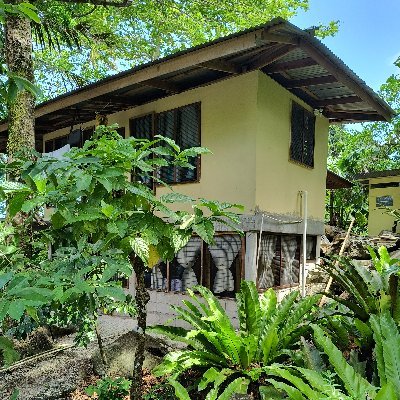 DiekotPohnpei's profile picture. 