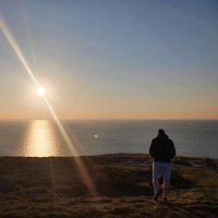 Max D (@max_bcfc) 's Twitter Profile