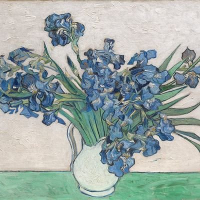 haydeeenbleu's profile picture. «Amo y no sé qué hacer. ¿Qué se hace en este mundo civilizado cuando se ama así?»