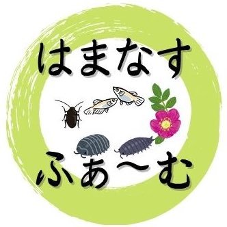 メダカ、ダンゴムシ、ワラジムシ飼育&副業垢です。 メダカとワラダンやデュビアの餌や生体も販売してます！中古せどり&中国輸入を楽しんでいます！