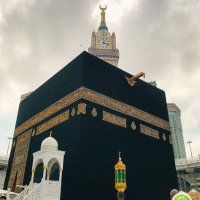 Abdul kamal (@herbdulk) 's Twitter Profile