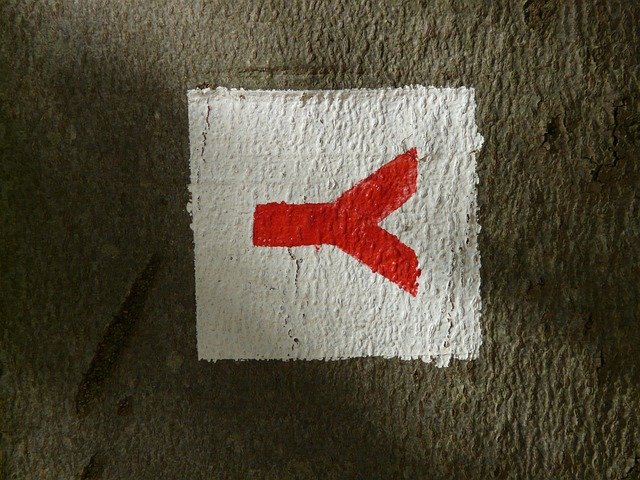 zben74521998's profile picture. 