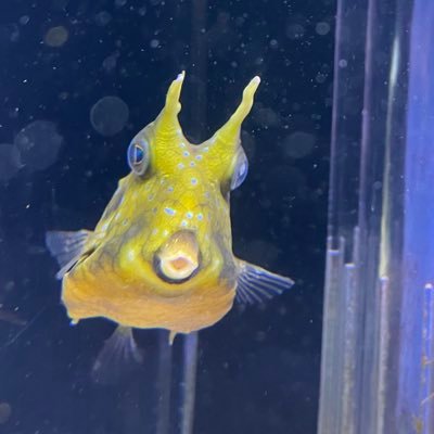 ふゆさんのプロフィール画像