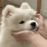 ᴍɪʟʟɪᴍɪʟᴅ✸ (@kamen_beerus) 's Twitter Profile Photo