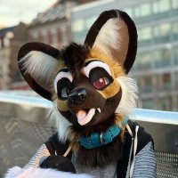 LucaTheWildDog 🔜Furgroove, Club Animals, NFC(@LucaTheWildDog) 's Twitter Profile Photo