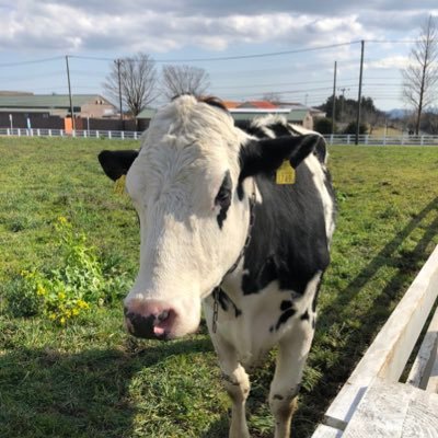 macky3104's profile picture. 日本株をこよなく愛する普通のオジさん(ソフバンG&KK.アドテス.壱番屋🆕.北浜キャピ.情報戦略テク.キッズバイオ.ブラパスバイオ) 推しはIST.バイオは賭け/阪神⚾️/からかい上手の高木さん/戸隠神社5社めぐり / 一人温泉♨️