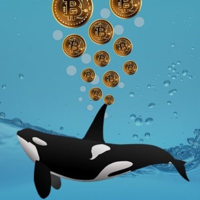 babybay35669917's profile picture. 