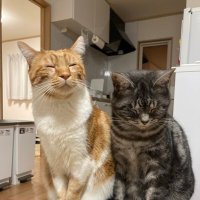 しめさば🐟&すめし🍣 (@simesaba830) 's Twitter Profile Photo しめさば🐟&すめし🍣 (@simesaba830) 's Twitter Profile Photo