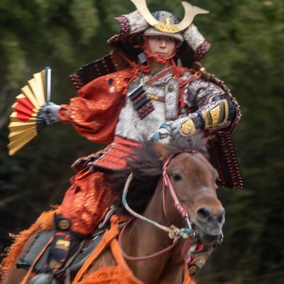 和式馬術で、かつて侍の乗った馬に乗る。装束や甲冑を纏って騎乗したら、まるで絵巻物のような世界が広がります。 木曽馬系和種馬は今では大変貴重な上に、人によく慣れ、初めての乗馬でも安心です。 また時には甲冑武者を乗せて時速40㌔以上で雄々しく疾走します。 そんな和種馬に伝統装束で乗ってみませんか！