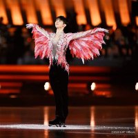 ᴺᴷ Alba🌱🦋 98 (@liliq_sg) 's Twitter Profile