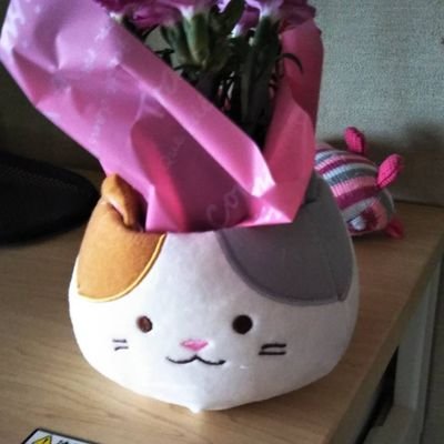 北海道のニセコ地区から毎日羊蹄山を眺めています。
動物大好き、その中でも猫が特に大好き。
愛玩動物飼養管理士
ペット共生住宅管理士
メンタル心理カウンセラー
大好きな猫や犬に関することを仕事にしています
猫飼いさんの婚活・ペット可能物件の紹介
時々動物関係のボランティア