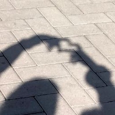 RochelleHoffs10's profile picture. 