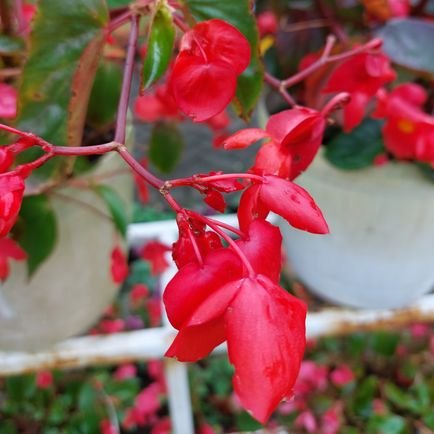 Veeee_013's profile picture. 