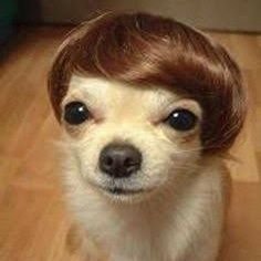 NadieNadiex2's profile picture. ...