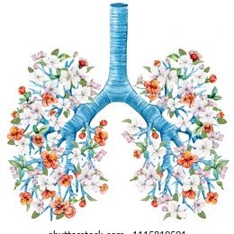 We are a group of researchers focused on respiratory diseases. Our specialty is shifting from bench to bedside in a translational approach.