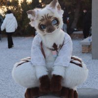 七塔 (@qita_qi) 's Twitter Profile