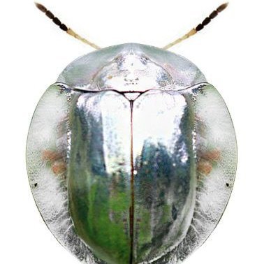 SysTieKW's profile picture. Mediumtransperson22