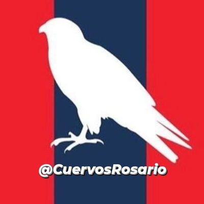 CuervosRosario Profile Picture