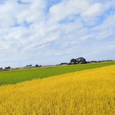 大好きなふるさと春日部を応援するアカウントです。自分のふるさとのステキなところを発見すると、心がホッコリ癒やされます❤
#かすかべプラスワンサポーター
#かすかべプラスワン
#春日部