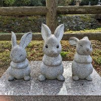たぷ (@tap525d) 's Twitter Profile