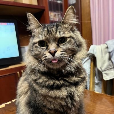 サロンパスさんのプロフィール画像