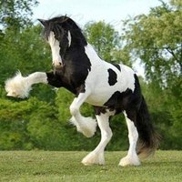 Cem Ünye li (@cem_unye) 's Twitter Profile
