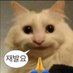 . (@do_mi_seul) Twitter profile photo . (@do_mi_seul) Twitter profile photo