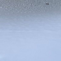 カタカムナjp (@katakamuna_jp) Twitter profile photo