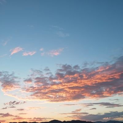 yggsususu's profile picture. 