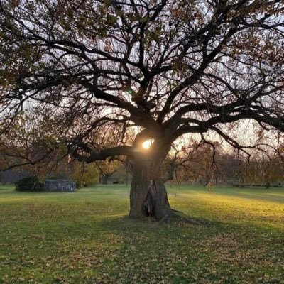 Photographe compositrice, veuve,8 ans elle est morte dans mes bras, 34 mots voix dans les ténèbres, Croyez vous en pixie dust espere être un Homme libre à Paris