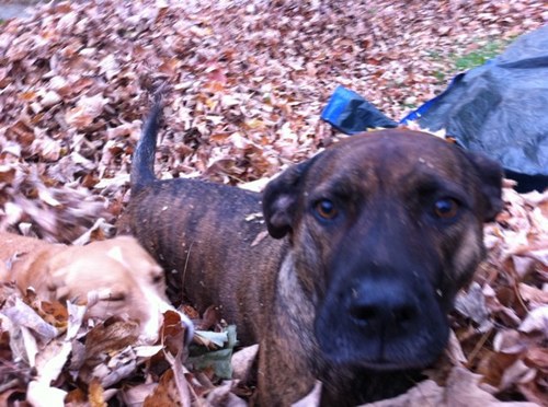 katie937's profile picture. 