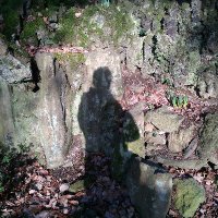 Schatten meiner selbst - ME/CFS (@zidius_) Twitter profile photo