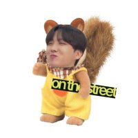 じゆ🐿 (@q4h0pe) 's Twitter Profile
