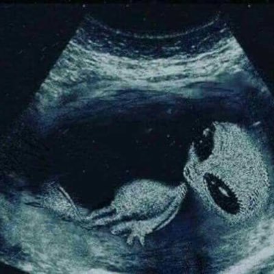 shanscreens's profile picture. Not in this dimension