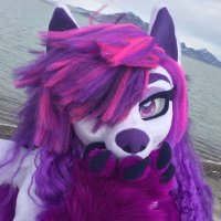 Sheila Neonpaw (@sneonpaw) 's Twitter Profile Photo Sheila Neonpaw (@sneonpaw) 's Twitter Profile Photo