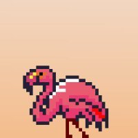 hal40180172's profile picture. 1212 flamingos on the @AptosLabs blockchain striving for a stronger and more educated ecosystem. Free mint. 
Relevant links: https://t.co/Bx7HeLolHP.