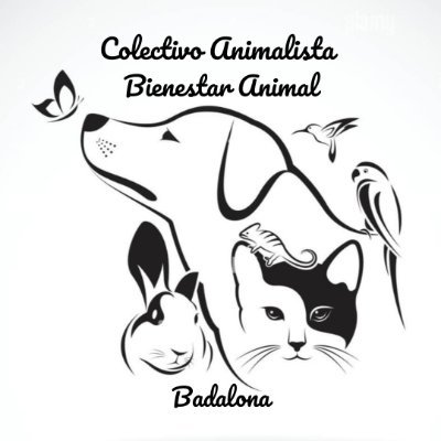 Trabajamos por el bienestar animal. 
Nuestro objetivo es defender sus derechos.
Una sociedad moderna se define por el trato que da a sus animales