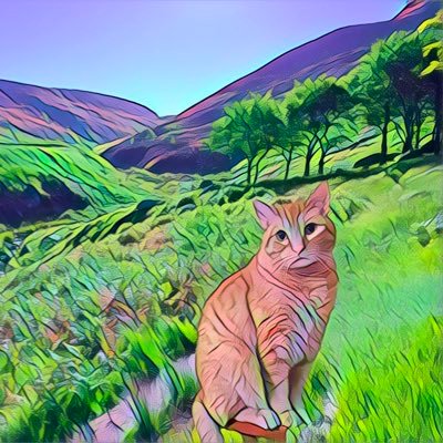 CedavisAuthor's profile picture. 