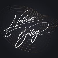 Nathan Bailey(@nathanbaileyart) 's Twitter Profile Photo