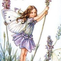 Lindsay Sykes (@fairy_lindsay71) 's Twitter Profile Photo Lindsay Sykes (@fairy_lindsay71) 's Twitter Profile Photo