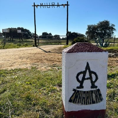 rutete21's profile picture. amante de la vida,mi familia y ella,cofrade,el mundo del toro y del caballo mi devocion