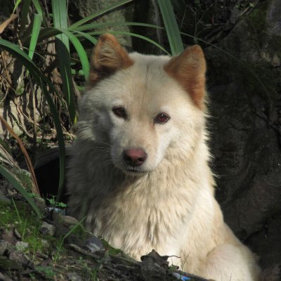 nismasabilla's profile picture. The harder it is, the more you have to do it