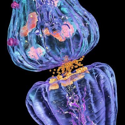 sohailahmedmarr's profile picture. ⚕ “Ya Allah forbid me to die unless you’re pleased.”