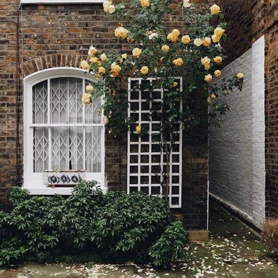 salhmhm93260566's profile picture. لا اهتم لاحد