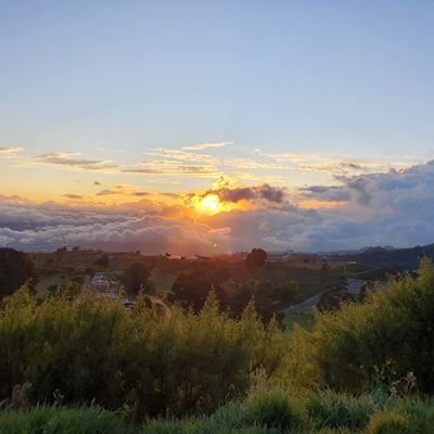 AlpavoSantorini's profile picture. 