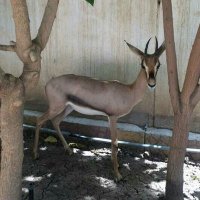 Mstahel ansak0 (@ansak0mstahel) 's Twitter Profile