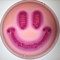 AntiMicroBio 🧫🔬🏳️‍🌈(@AntiMicroBio) 's Twitter Profile Photo