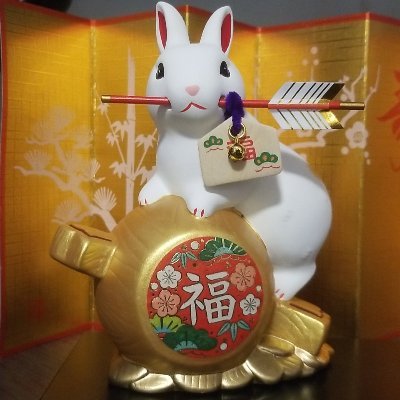 davidcestmoi05's profile picture. SOURIS + AILES = CHAUVE SOURIS