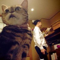 長生@台中🇹🇼 (@cudoitmprv75cs6) 's Twitter Profile