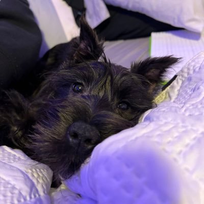 Rosie12060's profile picture. 